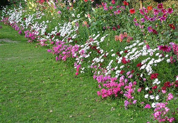 mixborder2