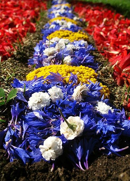 mixborder4