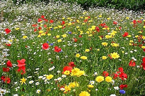 garden-styles1
