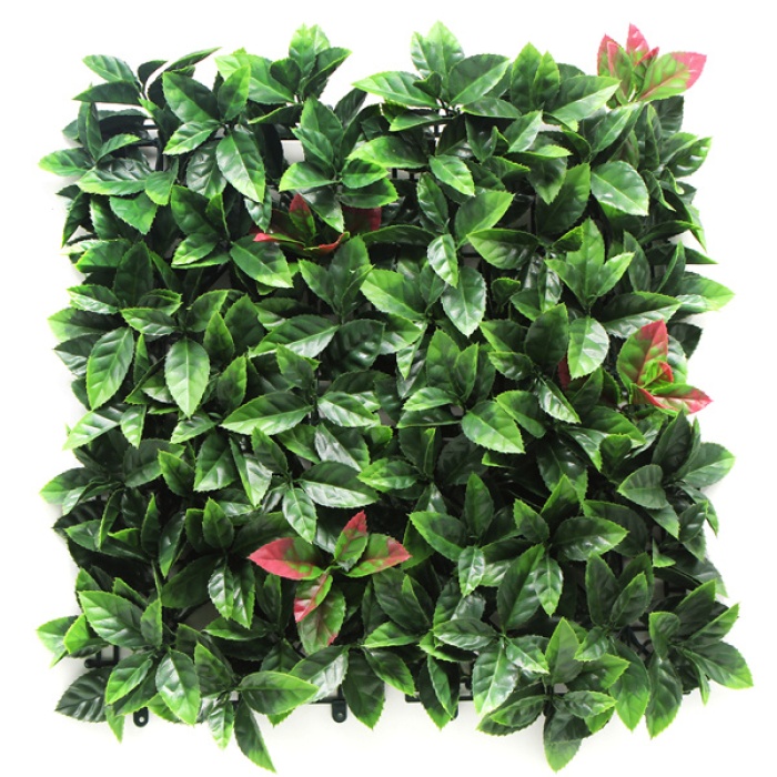 Пано 50х50см изкуствена зелена декорация Photinia CCGA008