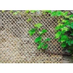 Пергола от ракита WICK TRELLIS